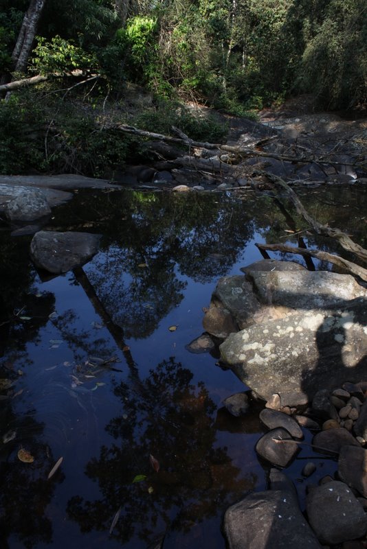 Trek to the Swimming Hole